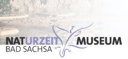 Logo Naturzeitmuseum Bad Sachsa